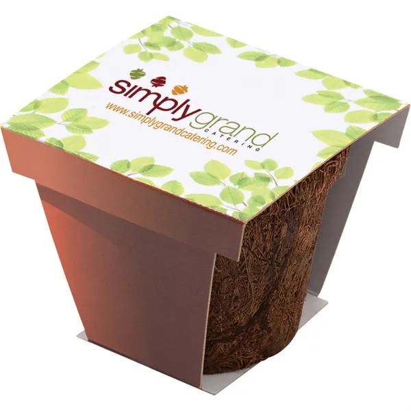 Coco Planter Kit - Coco Planter Kit - Image 1 of 1