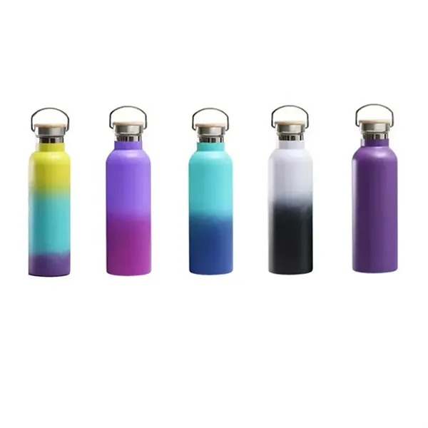 25oz Insulated Water Bottle with Top Handle - 25oz Insulated Water Bottle with Top Handle - Image 2 of 17