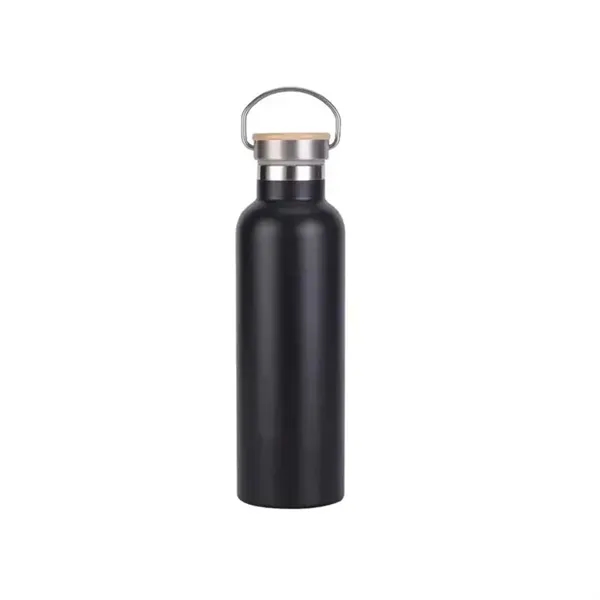 25oz Insulated Water Bottle with Top Handle - 25oz Insulated Water Bottle with Top Handle - Image 5 of 17