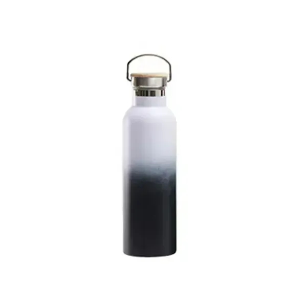 25oz Insulated Water Bottle with Top Handle - 25oz Insulated Water Bottle with Top Handle - Image 14 of 17