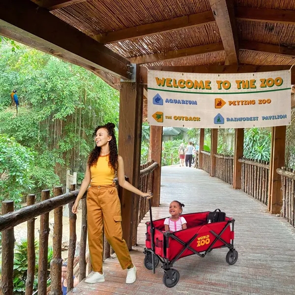 Compact Folding Wagon Plus - Compact Folding Wagon Plus - Image 6 of 10