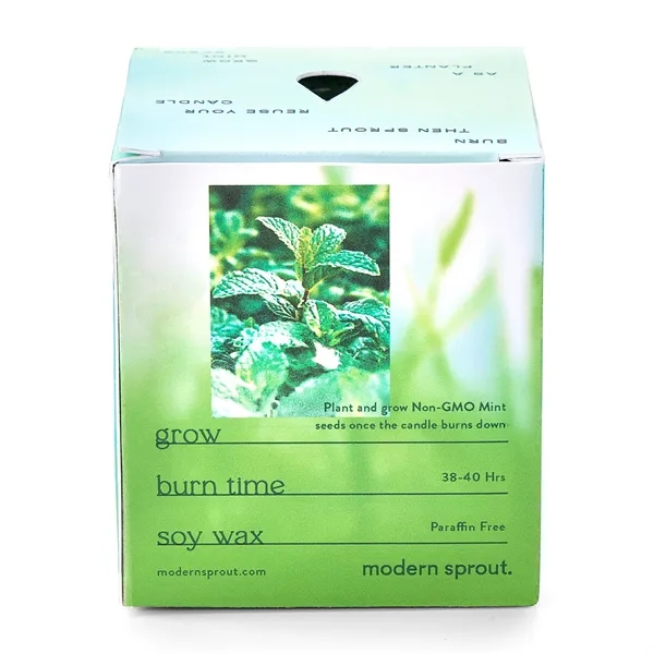 Modern Sprout® Garden Vibes Candle/Planter - Modern Sprout® Garden Vibes Candle/Planter - Image 4 of 37