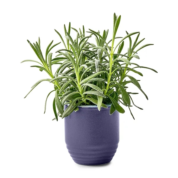 Modern Sprout® Garden Vibes Candle/Planter - Modern Sprout® Garden Vibes Candle/Planter - Image 11 of 37