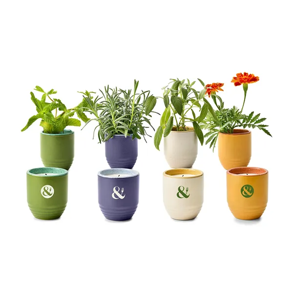 Modern Sprout® Garden Vibes Candle/Planter - Modern Sprout® Garden Vibes Candle/Planter - Image 13 of 37