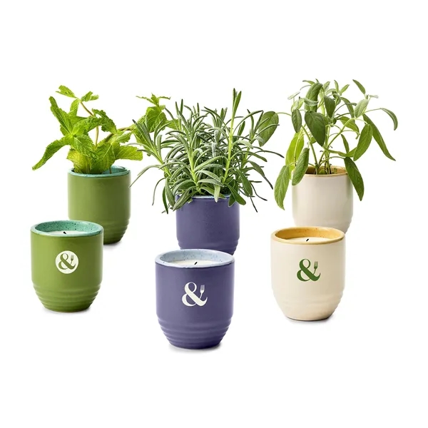 Modern Sprout® Garden Vibes Candle/Planter - Modern Sprout® Garden Vibes Candle/Planter - Image 14 of 37