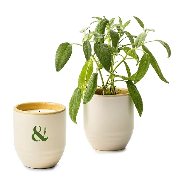 Modern Sprout® Garden Vibes Candle/Planter - Modern Sprout® Garden Vibes Candle/Planter - Image 20 of 37