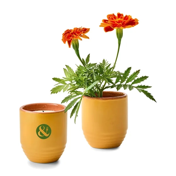 Modern Sprout® Garden Vibes Candle/Planter - Modern Sprout® Garden Vibes Candle/Planter - Image 29 of 37