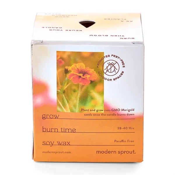 Modern Sprout® Garden Vibes Candle/Planter - Modern Sprout® Garden Vibes Candle/Planter - Image 33 of 37
