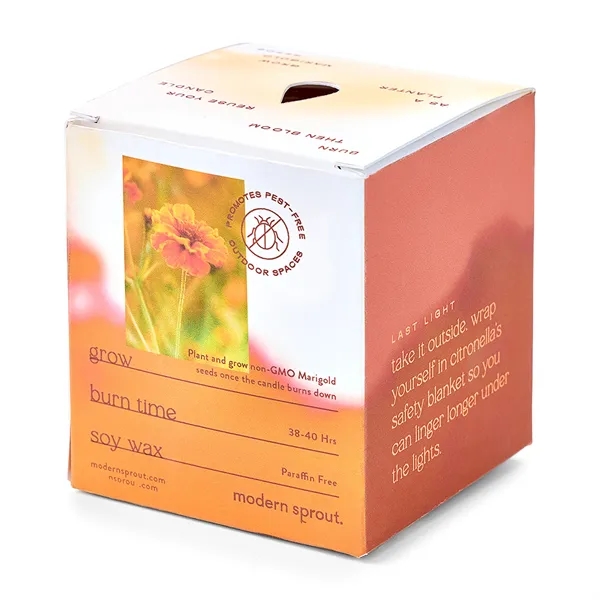 Modern Sprout® Garden Vibes Candle/Planter - Modern Sprout® Garden Vibes Candle/Planter - Image 34 of 37
