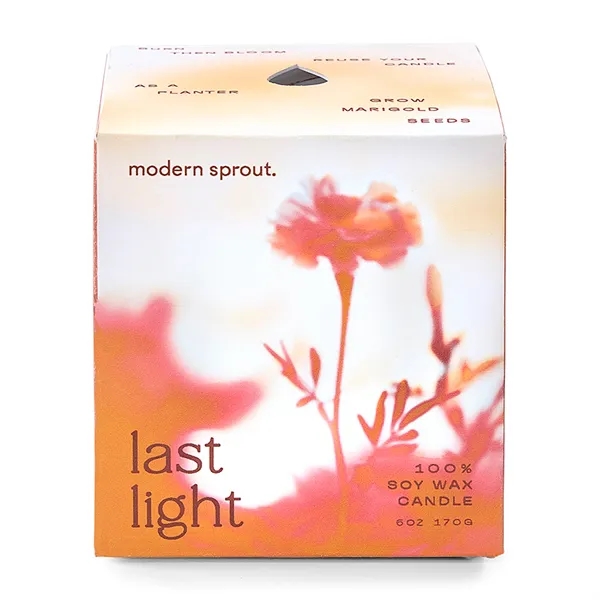 Modern Sprout® Garden Vibes Candle/Planter - Modern Sprout® Garden Vibes Candle/Planter - Image 36 of 37