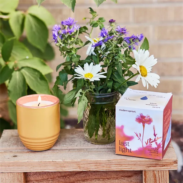 Modern Sprout® Garden Vibes Candle/Planter - Modern Sprout® Garden Vibes Candle/Planter - Image 37 of 37
