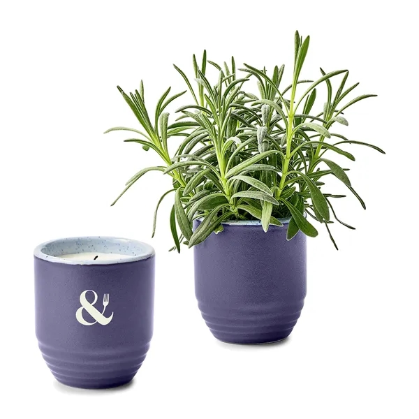 Modern Sprout® Garden Vibes Candle/Planter - Modern Sprout® Garden Vibes Candle/Planter - Image 9 of 37