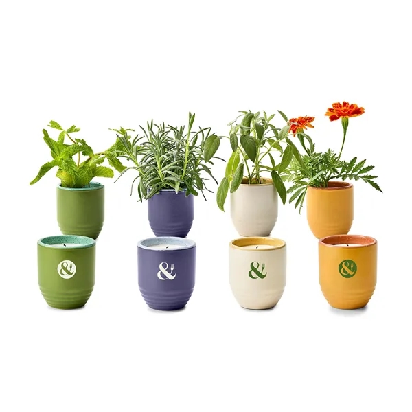 Modern Sprout® Garden Vibes Candle/Planter - Modern Sprout® Garden Vibes Candle/Planter - Image 13 of 37