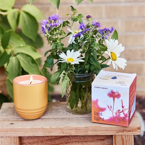 Modern Sprout® Garden Vibes Candle/Planter - Modern Sprout® Garden Vibes Candle/Planter - Image 37 of 37