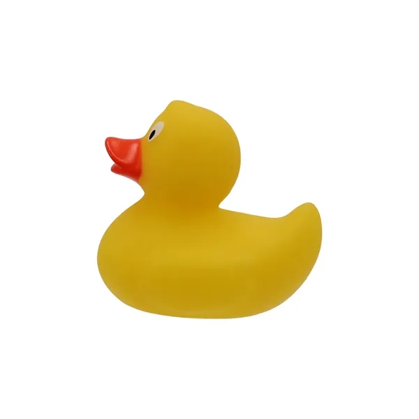 Promo Duck - Promo Duck - Image 2 of 5