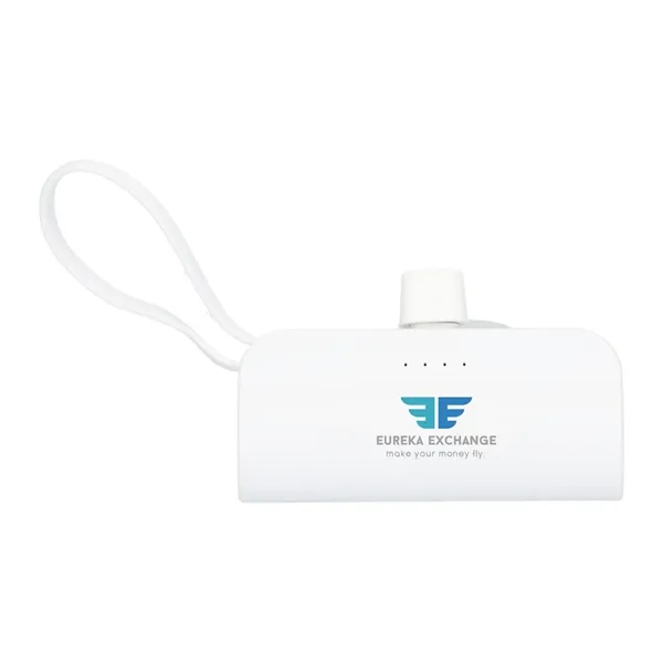 Hue 5000 mAh Power Bank with Multi Tips - Hue 5000 mAh Power Bank with Multi Tips - Image 0 of 28