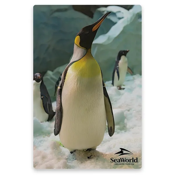 Metal Magnet - Metal Magnet - Image 4 of 5