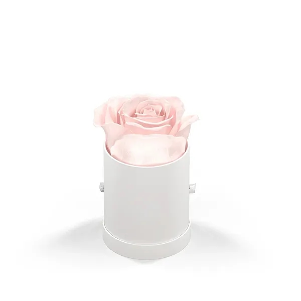 Classique by VeF Le Mini™ Round - Classique by VeF Le Mini™ Round - Image 7 of 9