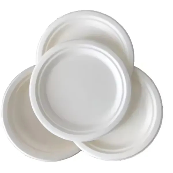 10" Disposable Paper Plates Eco-Friendly - 10" Disposable Paper Plates Eco-Friendly - Image 1 of 5