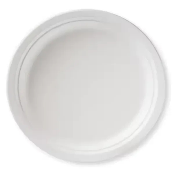 10" Disposable Paper Plates Eco-Friendly - 10" Disposable Paper Plates Eco-Friendly - Image 2 of 5