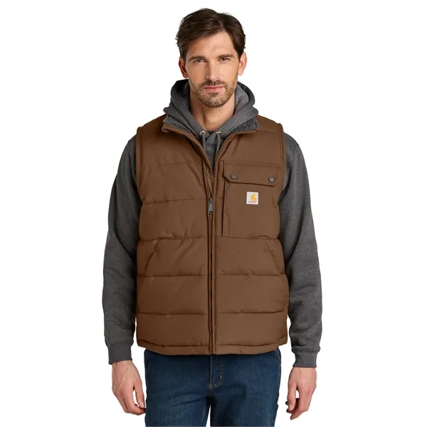 Carhartt Montana Insulated Vest - Carhartt Montana Insulated Vest - Image 0 of 9