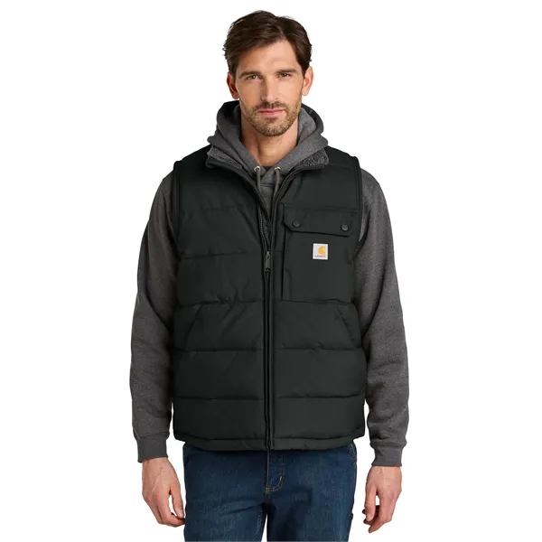 Carhartt Montana Insulated Vest - Carhartt Montana Insulated Vest - Image 4 of 9