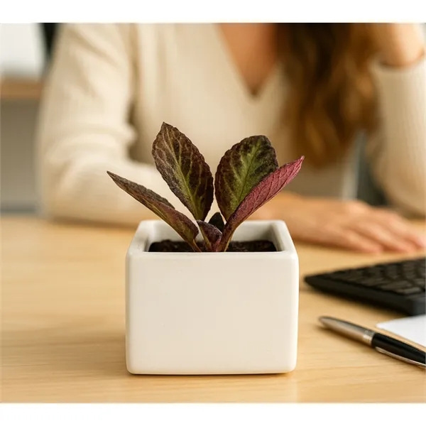 Gratitude Plant Bloom - Luxe Ceramic Planter - Gratitude Plant Bloom - Luxe Ceramic Planter - Image 1 of 1