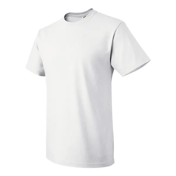 Fruit of the Loom HD Cotton Short Sleeve T-Shirt - Fruit of the Loom HD Cotton Short Sleeve T-Shirt - Image 19 of 21