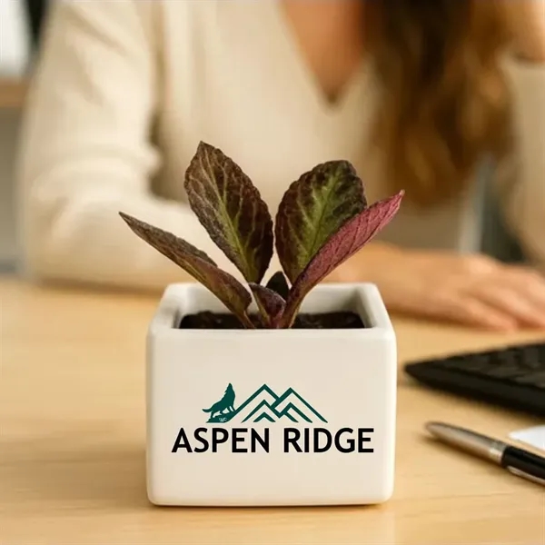 Gratitude Plant Bloom - Luxe Ceramic Planter - Gratitude Plant Bloom - Luxe Ceramic Planter - Image 0 of 1