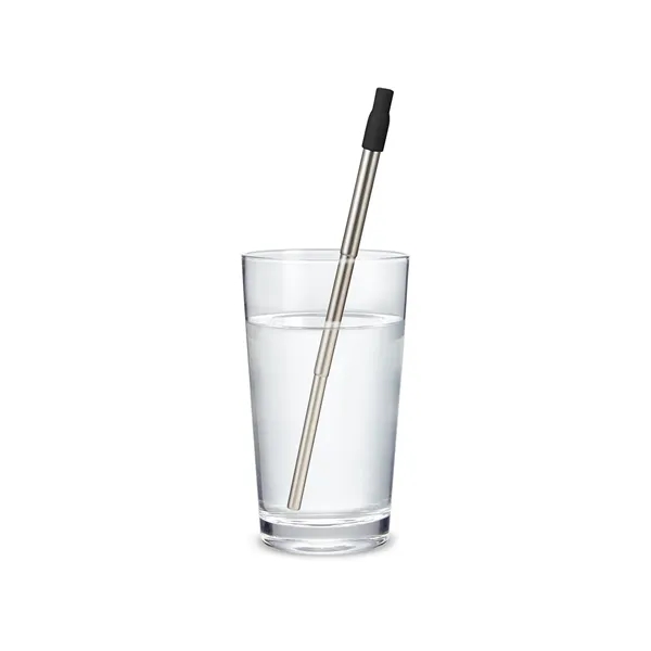 Festival Telescopic Reusable Drinking Straw Kit - Festival Telescopic Reusable Drinking Straw Kit - Image 0 of 12
