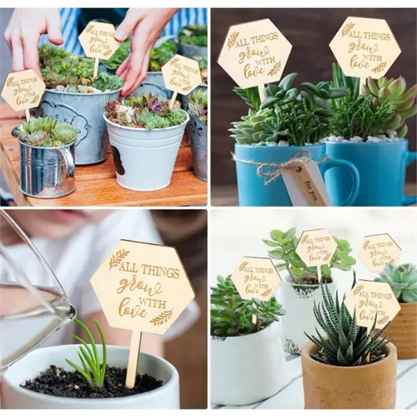 Wooden Plant Label Succulent Tag Plant Sign - Wooden Plant Label Succulent Tag Plant Sign - Image 2 of 6