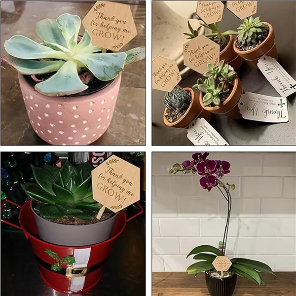 Wooden Plant Label Succulent Tag Plant Sign - Wooden Plant Label Succulent Tag Plant Sign - Image 3 of 6