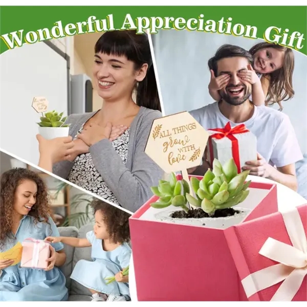 Wooden Plant Label Succulent Tag Plant Sign - Wooden Plant Label Succulent Tag Plant Sign - Image 5 of 6