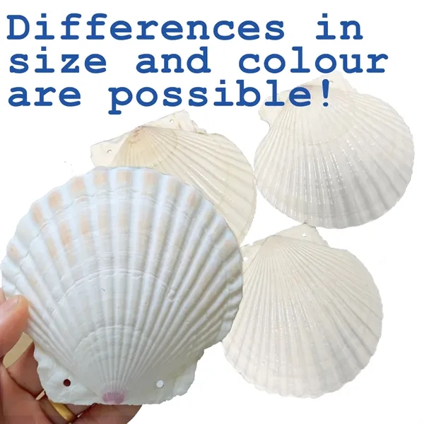 Personalized Shell Art Journal - Personalized Shell Art Journal - Image 2 of 5