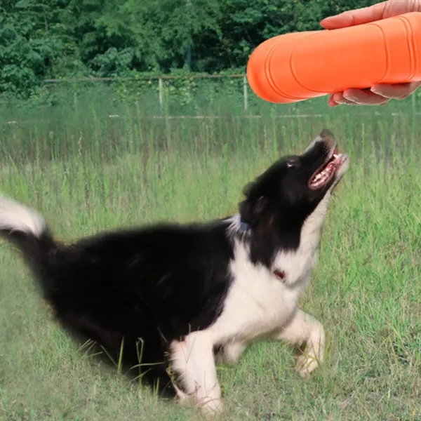 Outdoor Fun Pet Frisbee with logo - Outdoor Fun Pet Frisbee with logo - Image 2 of 4