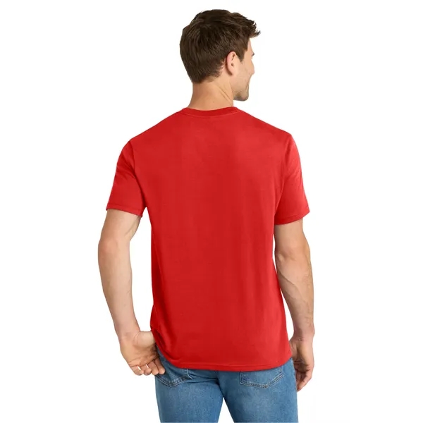 Volunteer Knitwear Daily Tee - Volunteer Knitwear Daily Tee - Image 13 of 35