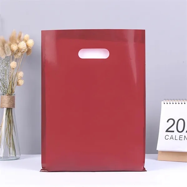 5 Mil Thick Merchandise Plastic Bags for Packaging Products - 5 Mil Thick Merchandise Plastic Bags for Packaging Products - Image 9 of 24