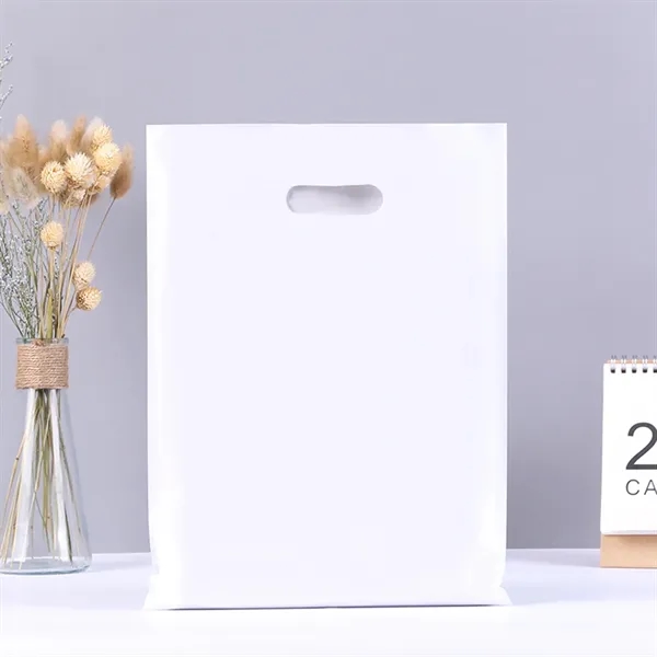 5 Mil Thick Merchandise Plastic Bags for Packaging Products - 5 Mil Thick Merchandise Plastic Bags for Packaging Products - Image 23 of 24