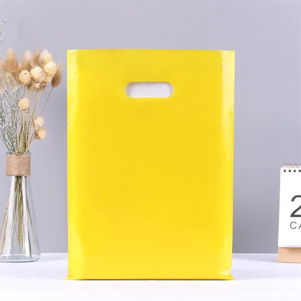 5 Mil Thick Merchandise Plastic Bags for Packaging Products - 5 Mil Thick Merchandise Plastic Bags for Packaging Products - Image 24 of 24