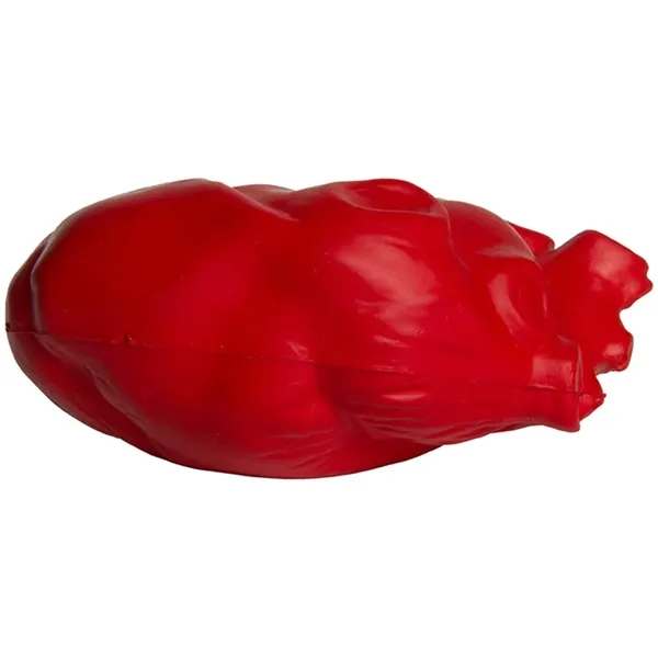 Anatomic Heart Stress Reliever - Anatomic Heart Stress Reliever - Image 4 of 6