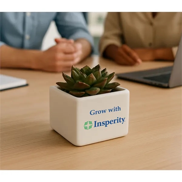 Premium Appreciation Gift Kit - Live succulent - Premium Appreciation Gift Kit - Live succulent - Image 0 of 1