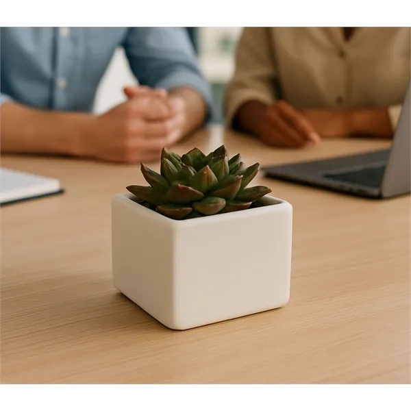 Premium Appreciation Gift Kit - Live succulent - Premium Appreciation Gift Kit - Live succulent - Image 1 of 1