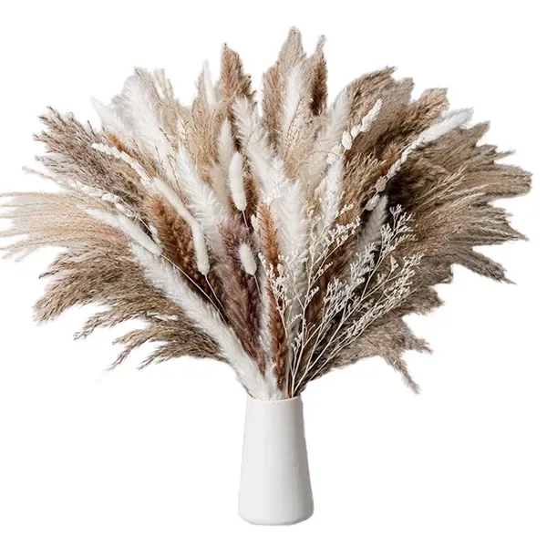 Natural Dried Pampas Grass Boho Home Decorations (100PCS) - Natural Dried Pampas Grass Boho Home Decorations (100PCS) - Image 1 of 5