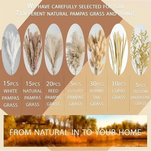 Natural Dried Pampas Grass Boho Home Decorations (100PCS) - Natural Dried Pampas Grass Boho Home Decorations (100PCS) - Image 3 of 5