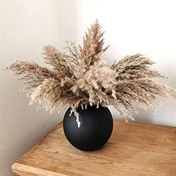 Natural Dried Pampas Grass Boho Home Decorations (100PCS) - Natural Dried Pampas Grass Boho Home Decorations (100PCS) - Image 5 of 5