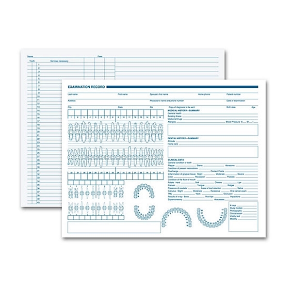 Dental Exam Record, Primary Arch & Geometric Diagrams - Dental Exam Record, Primary Arch & Geometric Diagrams - Image 0 of 1