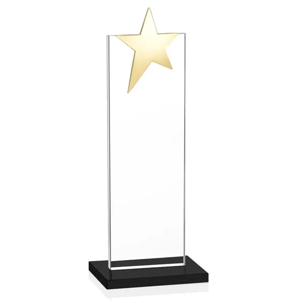 Bryanston Gold Star VividPrint™ Award - Black