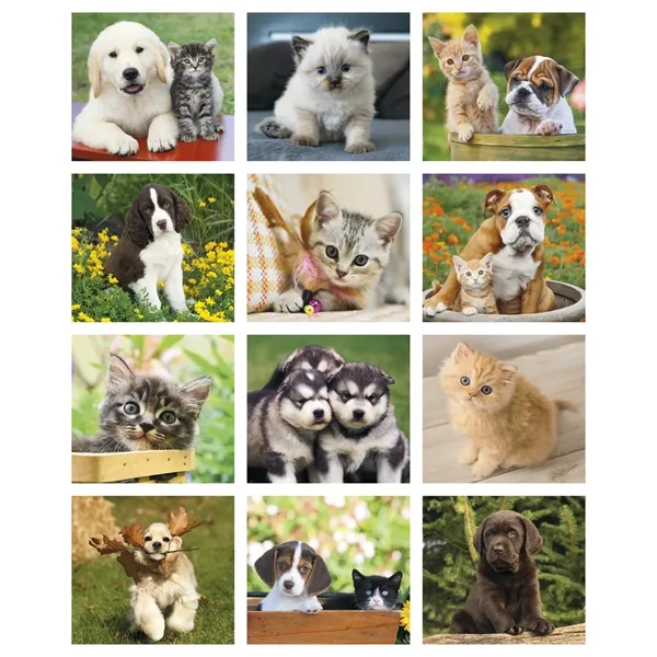 Good Value™ Puppies & Kittens - Mini Calendar - Good Value™ Puppies & Kittens - Mini Calendar - Image 5 of 5