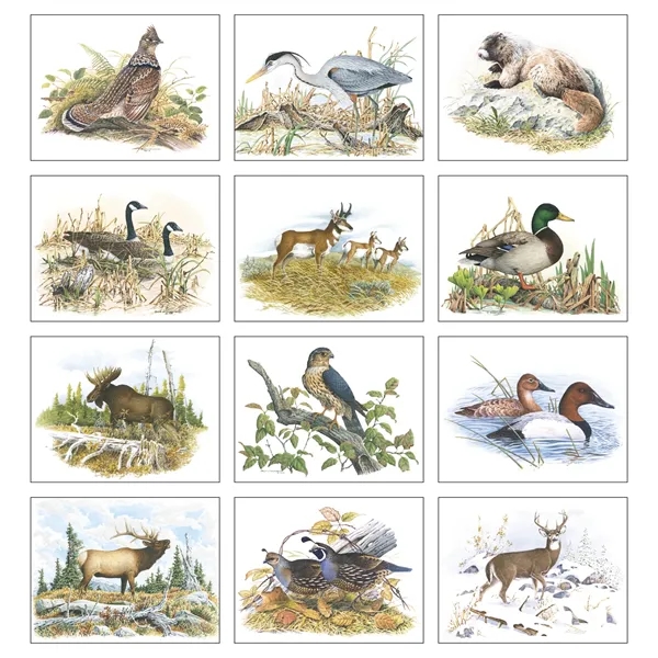 Good Value™ Wildlife Trek - Spiral Calendar - Good Value™ Wildlife Trek - Spiral Calendar - Image 5 of 5