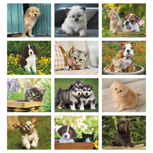 Good Value™ Puppies & Kittens - Spiral Calendar - Good Value™ Puppies & Kittens - Spiral Calendar - Image 3 of 6